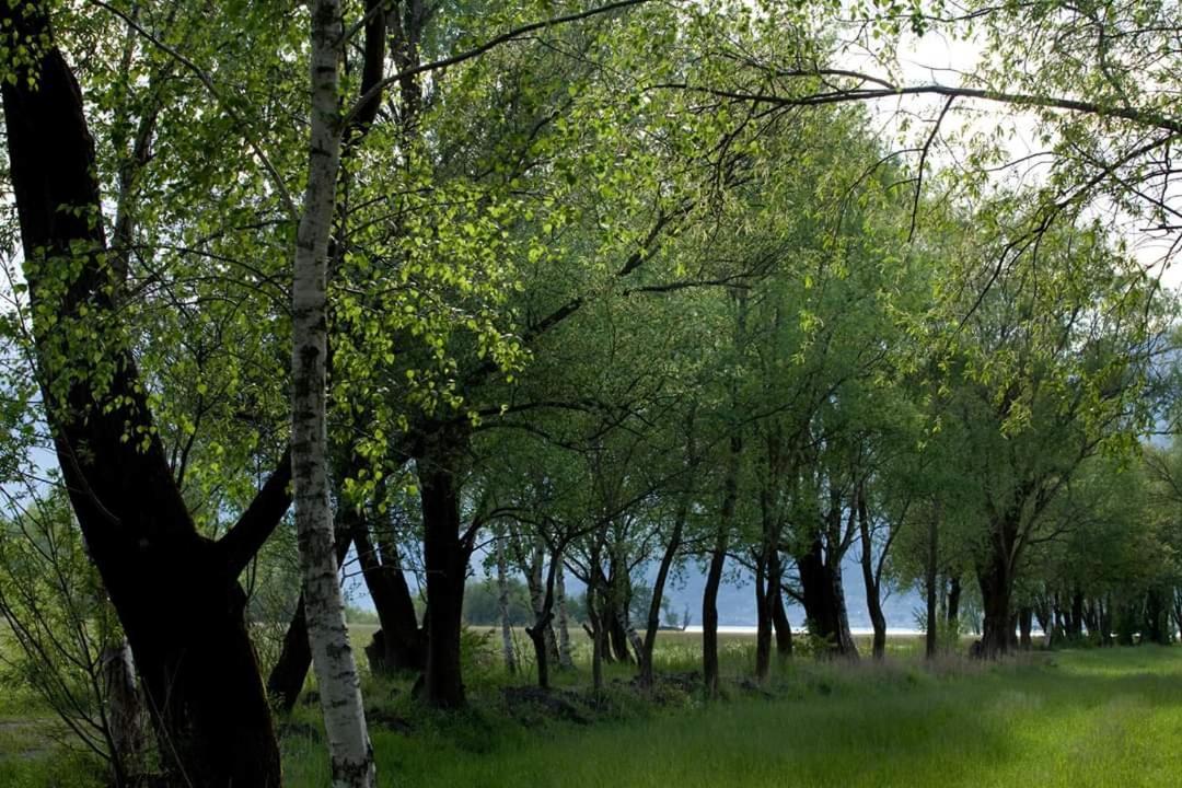 Апарт отель Cascina Borgofrancone Джера-Ларио Экстерьер фото